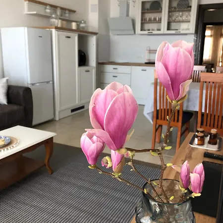 Apartament 2 Bedroom With 2 Balconies And Sea Views
